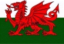 Rugby teams in Welsh